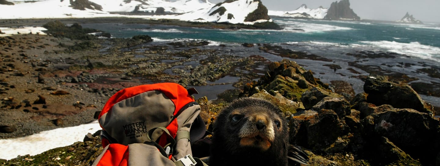 Climate Change in Antarctica