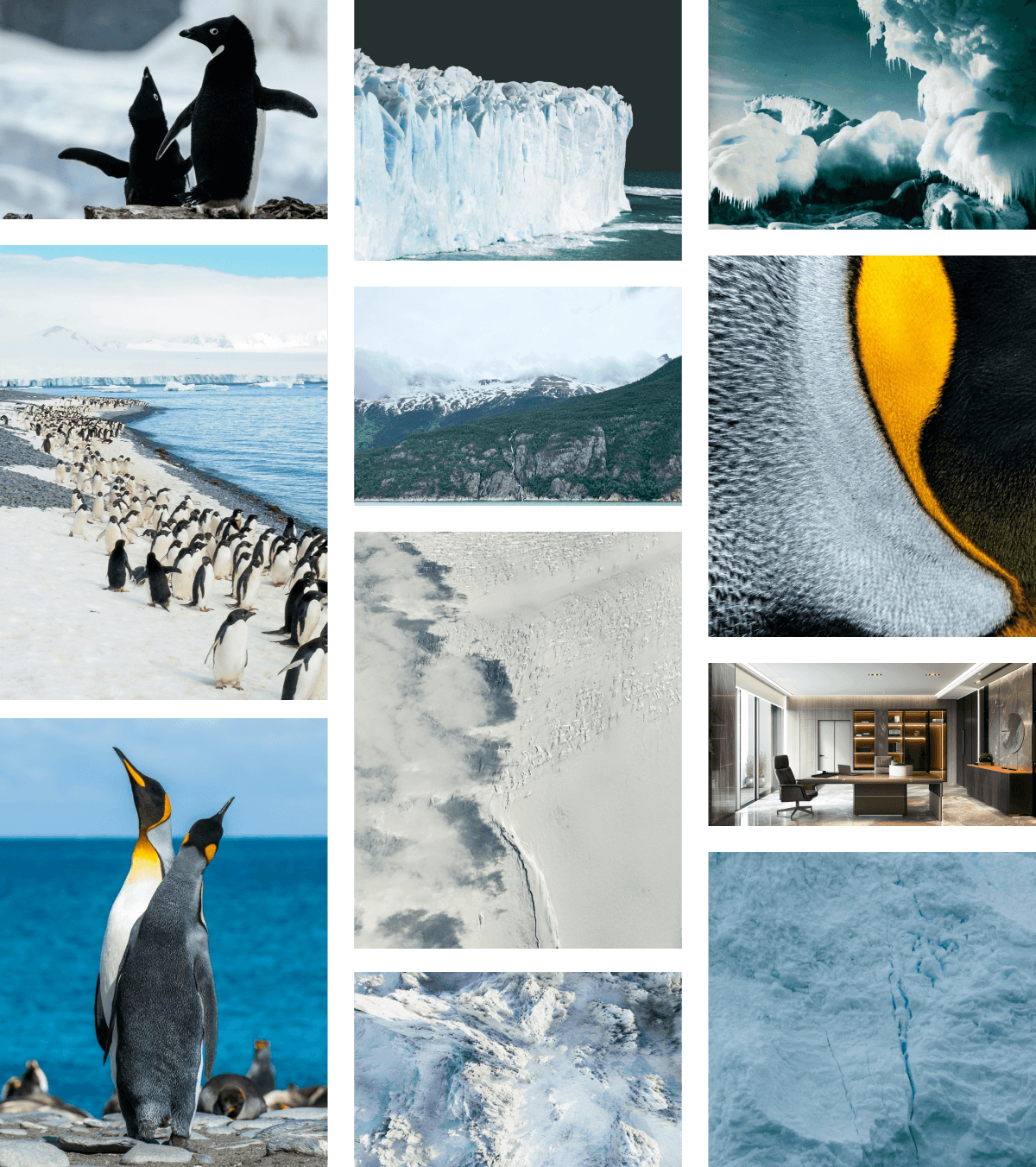 explore the beauty of antarctica